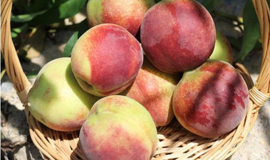 蟹和桃子可以一起吃吗