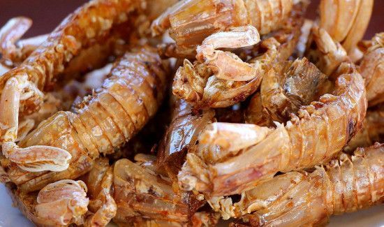 苦瓜能和虾一起吃吗