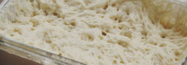 只有面粉和水怎么发酵