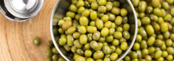 水泡过的绿豆放冰箱能放多久