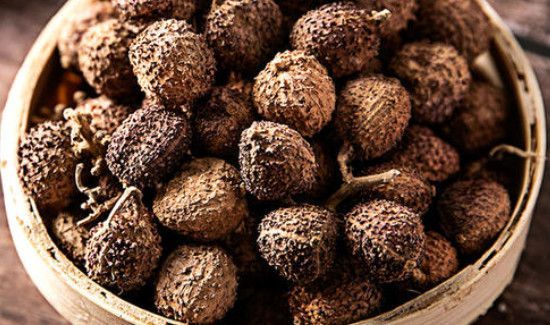 沙仁果可以炖汤喝吗