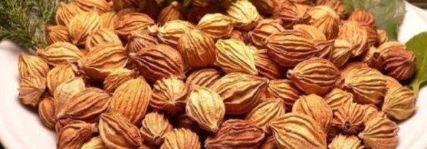 沙仁果可以炖汤喝吗