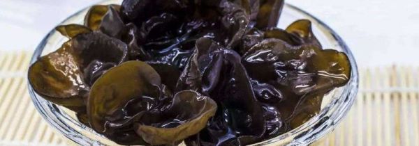 银耳和木耳可以一起吃吗