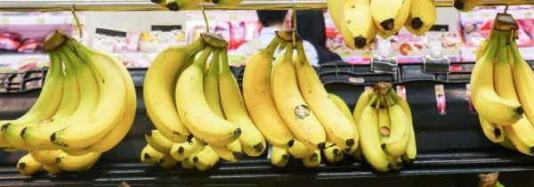 香蕉和西瓜可以一起榨汁吗