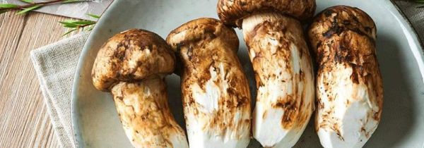松茸菌的清洗方法