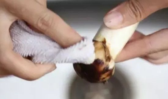 松茸菌的清洗方法