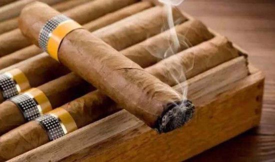 雪茄发霉了还能抽吗