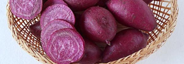 紫薯可以每天坚持吃吗