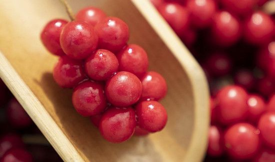 五味子可以泡酒吗