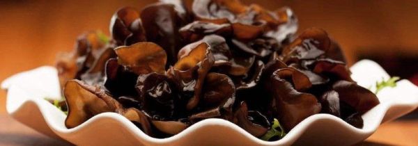 木耳生虫子还能吃吗