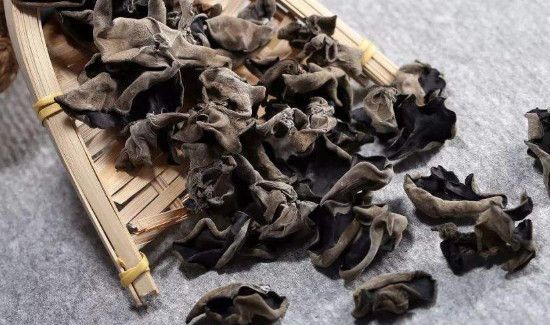 木耳生虫子还能吃吗