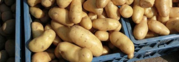 土豆可以削皮后冷冻保存