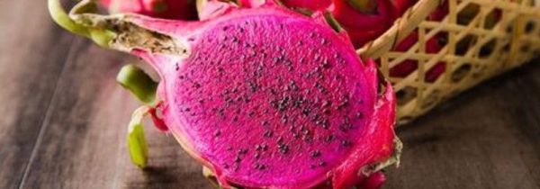 火龙果和葡萄可以一起吃吗