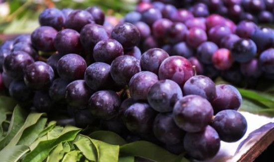 火龙果和葡萄可以一起吃吗