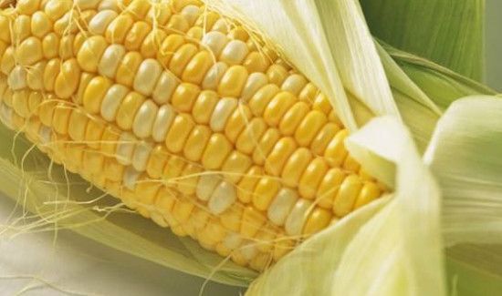 玉米煮久了会变老吗