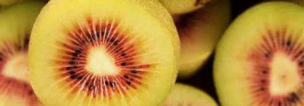 猕猴桃中间的芯很硬怎么回事