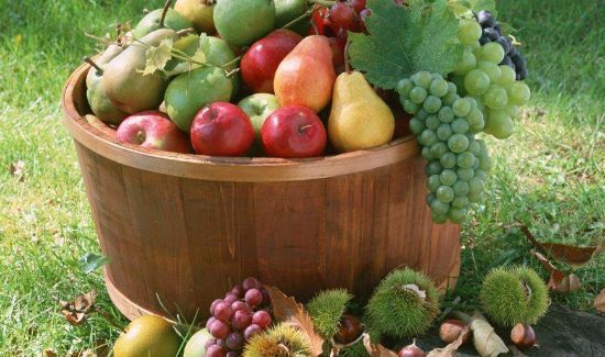 苹果猕猴桃能一起榨汁吗