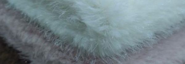 水貂绒的衣服怎么洗