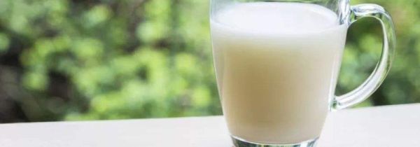 早餐空腹喝纯牛奶可以吗