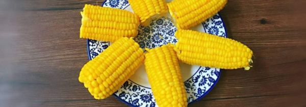 玉米和鱼能一起吃吗