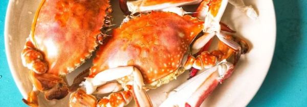 梭子蟹过夜了还可以吃吗