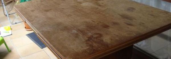 桌子上有蚂蚁怎么处理能消灭