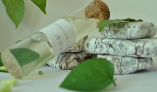 桌子上有蚂蚁怎么处理能消灭