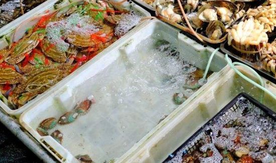 飞机上能带冷冻海鲜吗