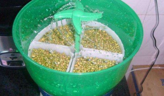 豆芽机怎么发豆芽