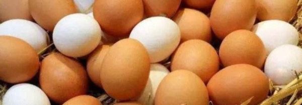 鸡蛋外壳发霉了但里面是好的能吃吗