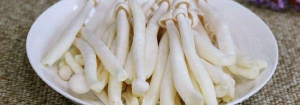 海鲜菇可以和鸡蛋一起吃吗