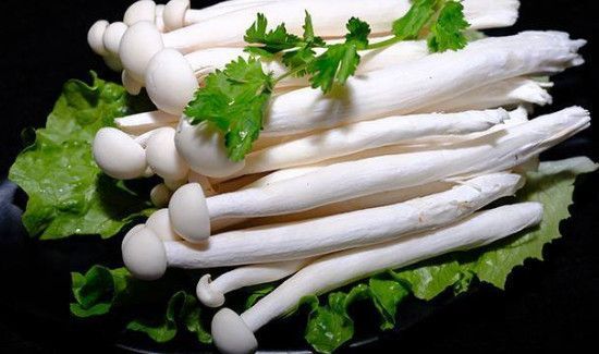 海鲜菇可以和鸡蛋一起吃吗