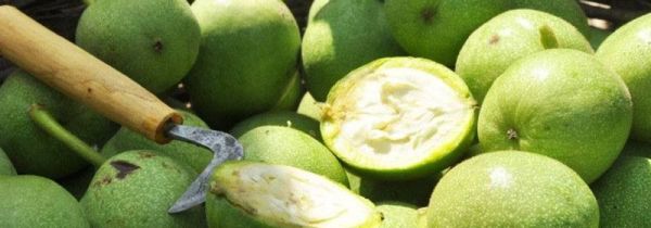 青皮核桃怎样处理