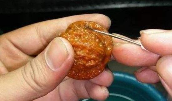 青皮核桃怎样处理