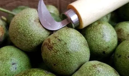 青皮核桃怎样处理