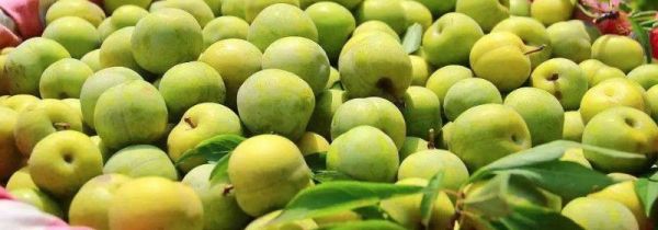 李子里面发黑能吃吗