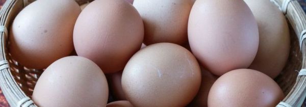 鸡蛋放久了没臭能吃吗