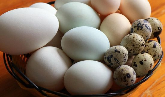 鸡蛋里面蛋黄散了还能吃吗