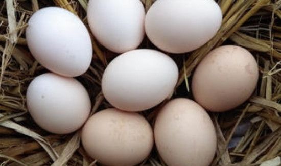 鸡蛋里面蛋黄散了还能吃吗