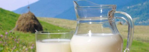 牛奶加鸡蛋可以同时吃吗