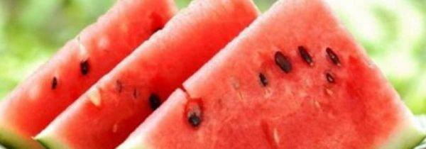 吃完生蚝可以吃西瓜吗?