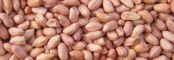 花生香蕉可以一起吃吗