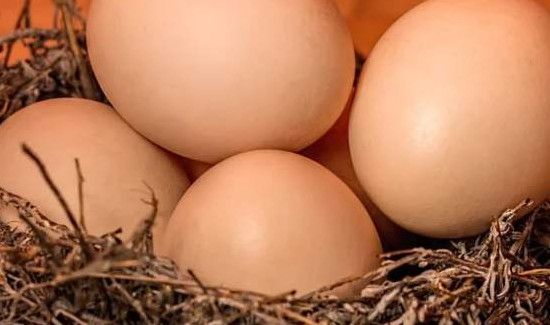 鸡蛋和蒜可以一起吃吗