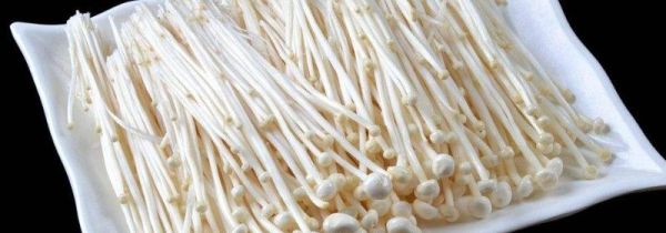 金针菇和木耳可以一起吃吗