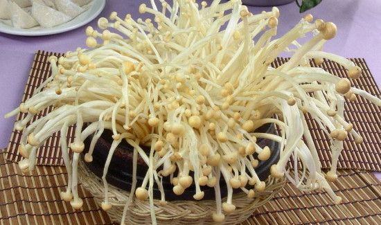 金针菇和木耳可以一起吃吗