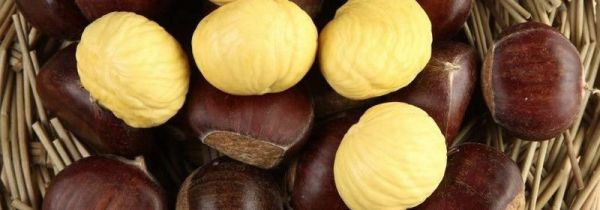 生板栗仁可以冷冻保存吗