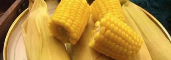 玉米冷藏一周可以吃吗