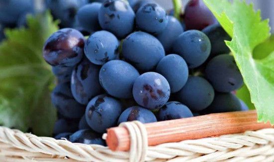 没有籽的葡萄可以吃吗