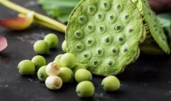 新鲜莲子冷冻半年还能吃吗