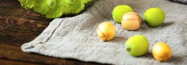 新鲜莲子冷冻半年还能吃吗